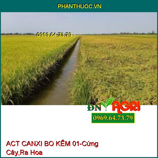 ACT CANXI BO KẼM 01-Cứng Cây,Ra Hoa