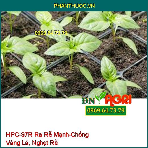 HPC-97R Ra Rễ Cực Mạnh-Chống Vàng Lá, Nghẹt Rễ, Dùng Giâm, Chiết Cành, Ra Rễ