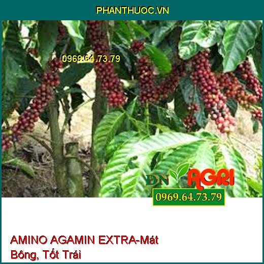 AMINO AGAMIN EXTRA-Tăng Độ Màu Mỡ, Năng Suất, Xử Lý Bệnh Hại, Mát Bông, Tốt Trái