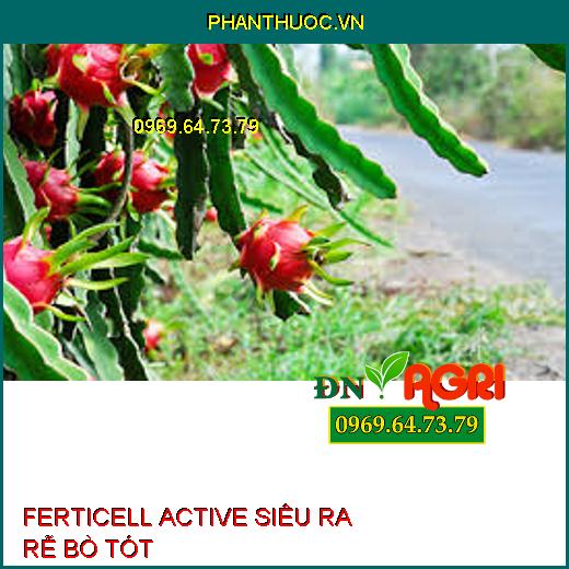 FERTICELL ACTIVE SIÊU RA RỄ BÒ TÓT –Tăng Trưởng Nhanh, Năng Suất, Ngừa Thối Rễ