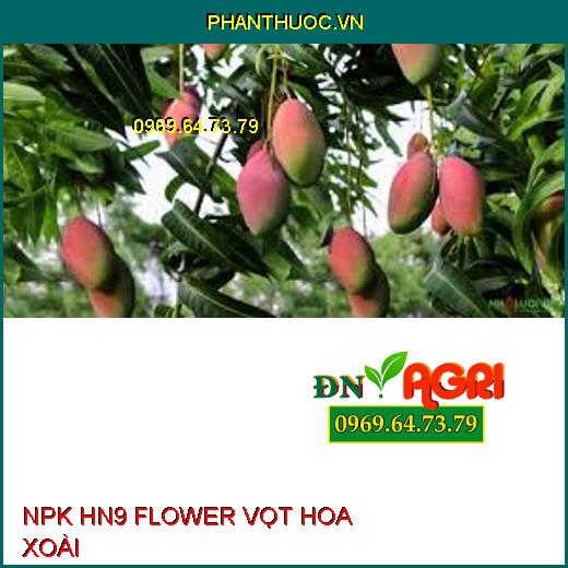 NPK HN9 FLOWER VỌT HOA XOÀI –Phân Hóa Mầm Hoa, Bộ Rễ Bung Mạnh, Đậu Trái Nhiều