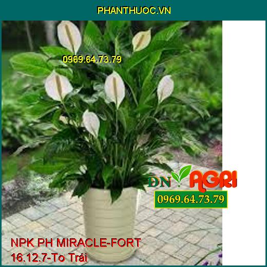 NPK PH MIRACLE-FORT 16.12.7-Ngăn Nghẽn Đòng, To Trái, Chắc Cuốn, Chống Rụng Trái