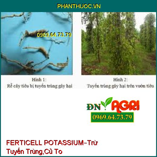 FERTICELL POTASSIUM–Trừ Tuyến Trùng Gây Hại, Cải Tạo Đất Phèn, Củ To, Hoa Nở Đều