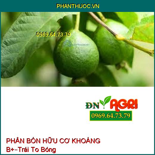 PHÂN BÓN HỮU CƠ KHOÁNG B+ –Trái To Bóng Đẹp, Chắc Nặng, Phục Hồi Rễ Nhiễm Phèn