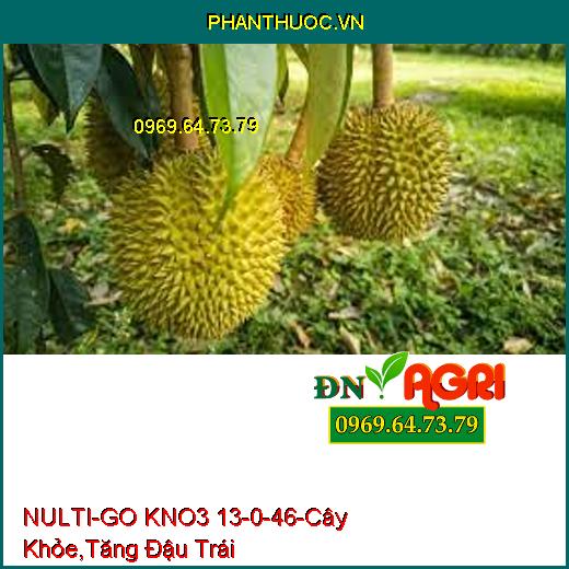 NULTI-GO KNO3 13-0-46-Cây Khỏe, Cứng Chắc, Tăng Đậu Trái, Trái Lớn Nhanh