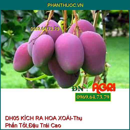 DH05 KÍCH RA HOA XOÀI-Thụ Phấn Tốt, Đậu Trái Cao, Hạn Chế Cách Niên, An Toàn