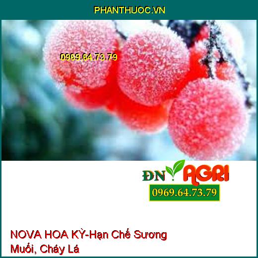 NOVA HOA KỲ-Hạn Chế Sương Muối, Cháy Lá, Loang Trải Đều, Bám Dính Cực Mạnh