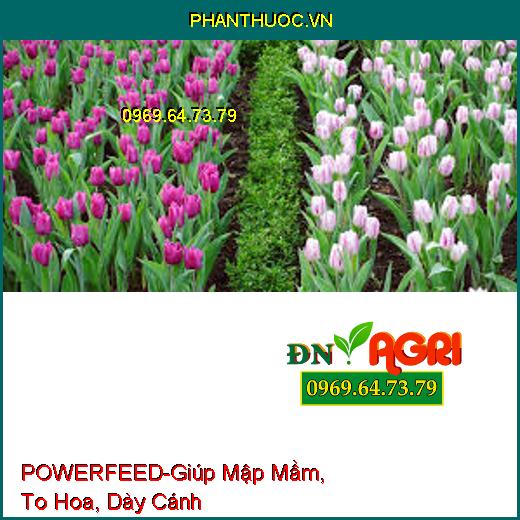 POWERFEED-Giúp Mập Mầm, To Hoa, Dày Cánh Dùng Cho Hoa Cảnh