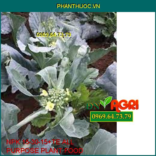 NPK 15-30-15+TE ALL PURPOSE PLANT FOOD-Đâm Chồi Đẻ Nhánh, Chống Rụng Hoa, Trái