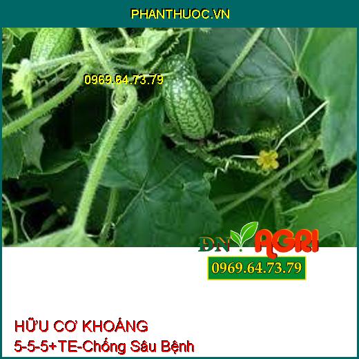 HỮU CƠ KHOÁNG 5-5-5+TE-Chịu Ngập Hạn, Chống Sâu Bệnh, Cải Tạo Phì Nhiêu Đất