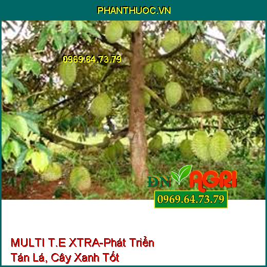 MULTI T.E XTRA-Phát Triển Tán Lá, Cây Xanh Tốt, Tăng Quang Hợp