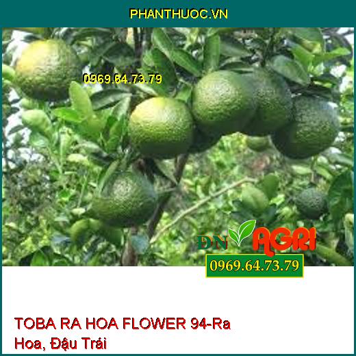 TOBA RA HOA FLOWER 94-Tăng Sức Sống Hoa, Vươn Dài, Mập Khỏe, Đậu Trái