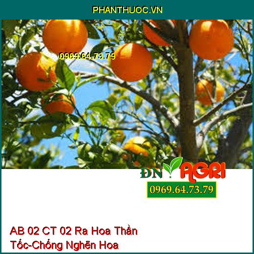 AB 02 CT 02 Ra Hoa Thần Tốc-Chống Nghẽn Hoa, Tăng Khả Năng Thụ Phấn