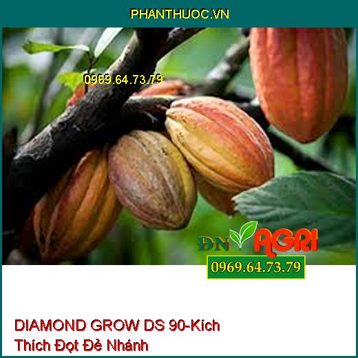 DIAMOND GROW DS 90-Kích Thích Đọt Đẻ Nhánh, Phát Triển, Nở Bụi, Lá Xanh