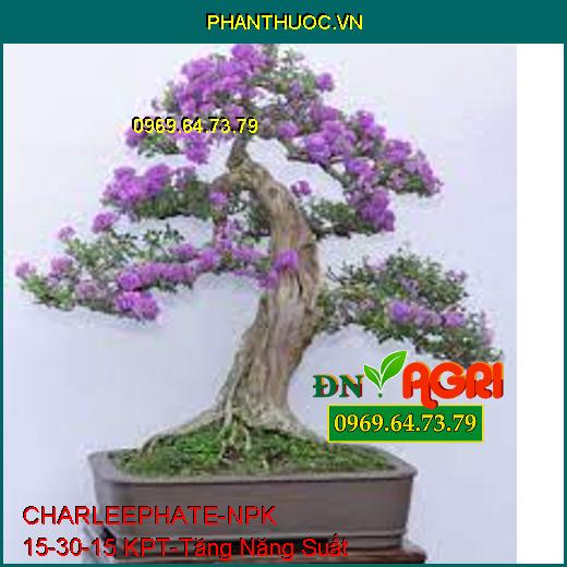 CHARLEEPHATE-NPK 15-30-15 KPT-Thúc Đẩy Phát Triển Cây, Hoa Đẹp , Tăng Năng Suất