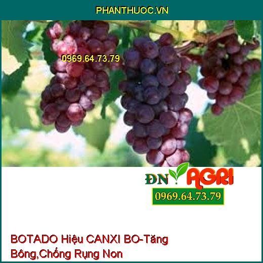 BOTADO Hiệu CANXI BO-Tăng Bông, Chống Rụng Non, Hạn Chế Nấm Bệnh