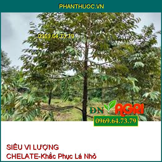 SIÊU VI LƯỢNG CHELATE-Cứng Cây, Khắc Phục Lá Nhỏ, Xoắn Lá, Tăng Phẩm Chất Trái