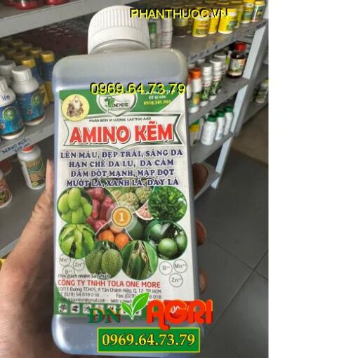 LAKTHAI A43 AMINO KẼM- Đẹp Trái, Sáng Da, Mập Đọt, Mướt Lá, Dầy Lá