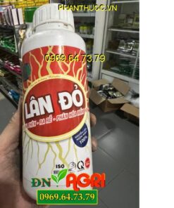 LÂN ĐỎ- Hạ Phèn, Ra Rễ, Phân Hóa Mầm Hoa