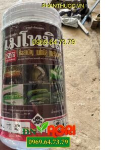 DUPONT LANNATE THÁI LAN – Đặc Trị Sâu Xanh, Sâu Khoang, Sâu Xanh Da Láng, Bọ Trĩ