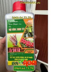 LION SUPER 750EC ĐẠI BÀNG XANH 777 – Đặc Trị Rầy, Rệp Sáp, Bọ Xít Muỗi, Sùng Đất