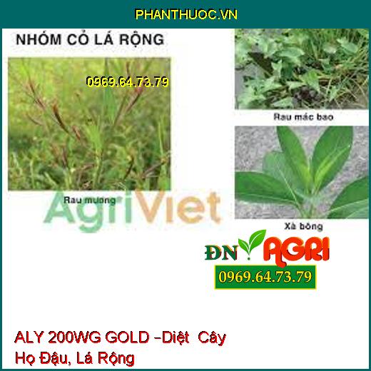 ALY 200WG GOLD –Diệt Cây Họ Đậu, Lá Rộng