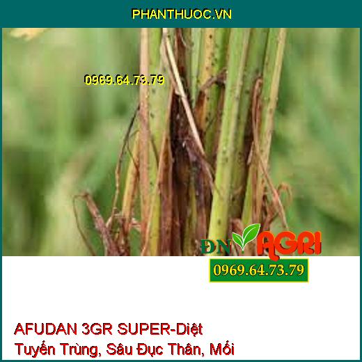 AFUDAN 3GR SUPER-Diệt Tuyến Trùng, Sâu Đục Thân, Mối Mọt