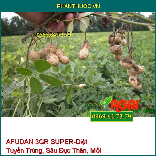 AFUDAN 3GR SUPER-Diệt Tuyến Trùng, Sâu Đục Thân, Mối Mọt