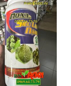 NOXA – Siêu Lớn Trái, Ngọt Trái, Cuống Khoẻ, Nặng Ký