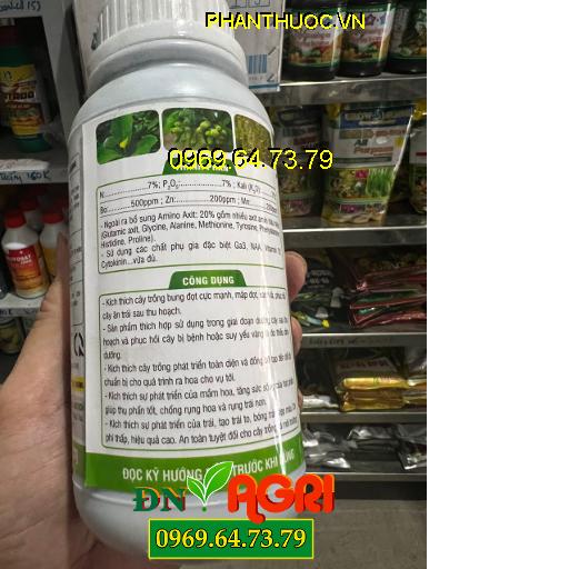 NPK VIETLAN 03 KÉO ĐỌT MƯỚT LÁ – Mạnh Đọt, Mướt Bóng Lá, Phát Đọt, Đâm Chồi, Dày Lá