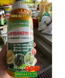 AMINO ENZYM PRO- Phân Bón Lá Hữu Cơ Khoáng Ra Hoa Đều, Giúp Lớn Trái