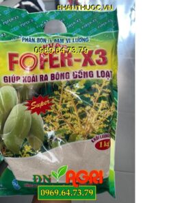 FOFER-X3 ( RVAC)- Kích Xoài Ra Bông Cho Trái Sớm