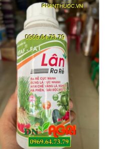 LÂN RA RỄ VITAF FA 1- Xanh Lá, Giải Độc Hữu Cơ