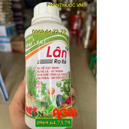 LÂN RA RỄ VITAF FA 1- Xanh Lá, Giải Độc Hữu Cơ