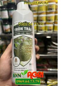 TRÒN TRÁI CHẮC RUỘT NẶNG KÝ – Lớn Đẹp Trái, Chắc Hạt, To Củ, Thịt Dày, Nặng Ký