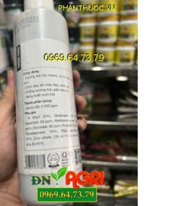 TRÒN TRÁI CHẮC RUỘT NẶNG KÝ – Lớn Đẹp Trái, Chắc Hạt, To Củ, Thịt Dày, Nặng Ký