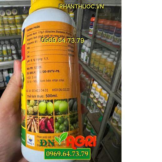 AMI GREEN AMINO ACID VITAMIN B1 RONG BIỂN – Phát Triển Bộ Rễ, Bật Mầm Và Xanh Lá Cây