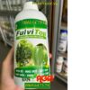 FULVI TOP- Kích Rễ, Xanh Lá, Phì Trái