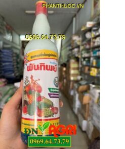 ROOTONE SỮA THÁI- Bổ Sung Vi Lượng, Thúc Hoa