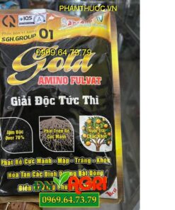 SGH.GRUOP 01 GOLD AMINO FULVAT- Ra Rễ Mạnh, Xanh Lá, Nuôi Trái