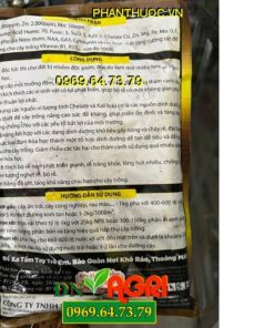 SGH.GRUOP 01 GOLD AMINO FULVAT- Ra Rễ Mạnh, Xanh Lá, Nuôi Tráig