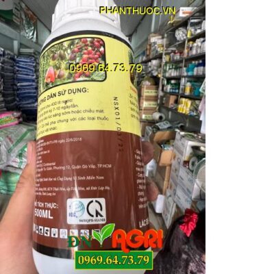 SIAMB 12 ROOTS- Bung Rễ Cực Mạnh, Nở Bụi Cực To