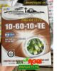 FDA FLOWER NPK 10-60-10+TE – Tạo Mầm Hoa, Kích Ra Hoa Đồng Loạt