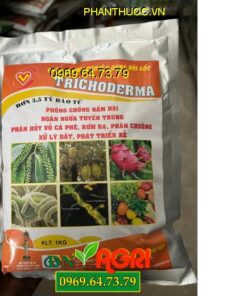 TRICHODERMA- Đặc Trị Nấm, Tuyến Trùng Trên Cây Trồng