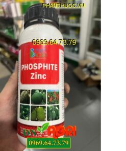 PHOSPHITE ZINC – Kích Ra Hoa, Tăng Đậu Trái, Chống Rụng Trái Non