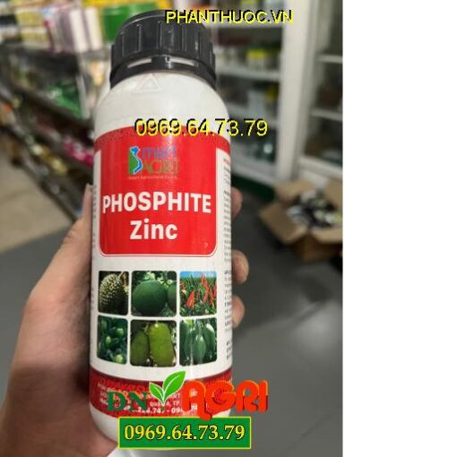 PHOSPHITE ZINC – Kích Ra Hoa, Tăng Đậu Trái, Chống Rụng Trái Non