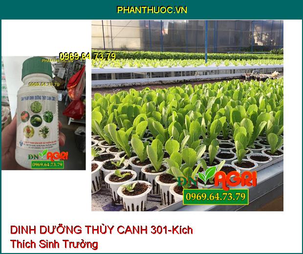 SẢN PHẨM DINH DƯỠNG THỦY CANH 301-Kích Thích Sinh Trưởng, Không Nhiễm Kim Loại