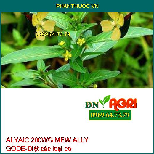 ALYAIC 200WG MEW ALLY GODE-Diệt các loại cỏ