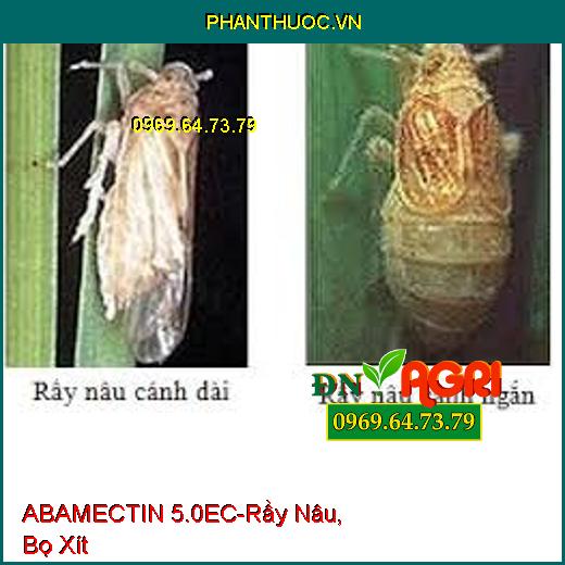 ABAMECTIN 5.0EC-Rầy Nâu, Bọ Xít