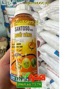 SANTOSO 100SC RUỒI VÀNG- Đặc Trị Ruồi Vàng Đục Trái, Ruồi Chích Quả